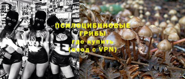 mdpv Беломорск