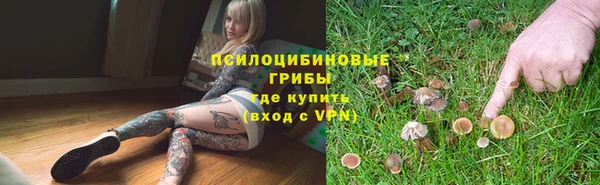 а пвп мука Дубна