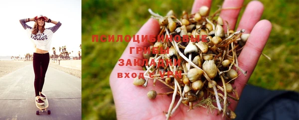 марки nbome Богданович