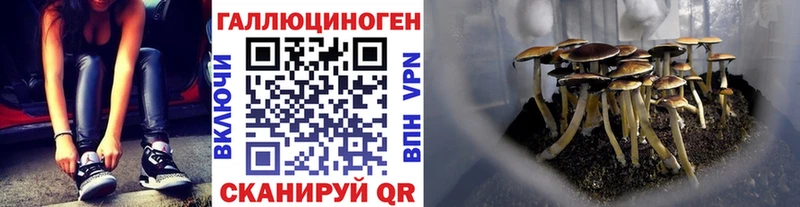 Галлюциногенные грибы ЛСД мега tor Короча